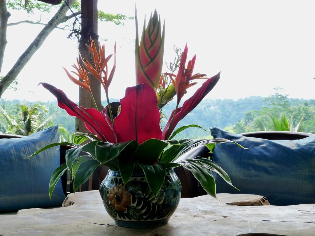 Maison d'hôtes Spirit Ubud