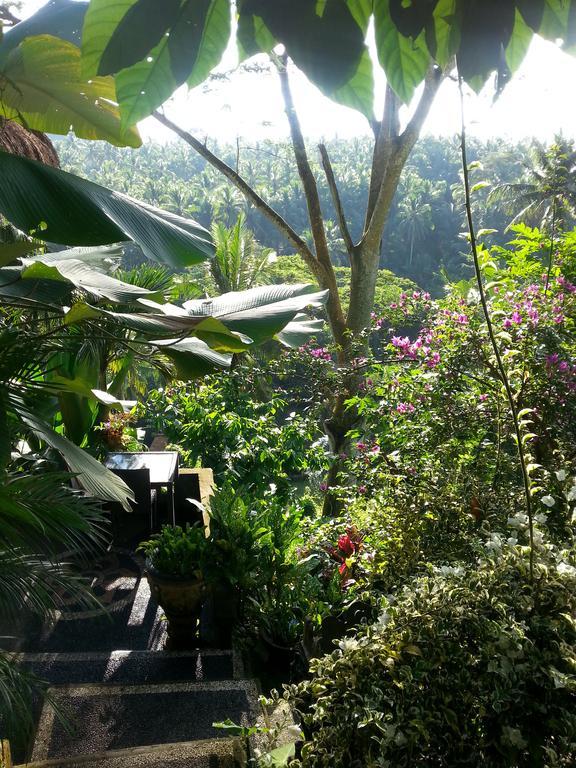 Maison d'hôtes Spirit Ubud